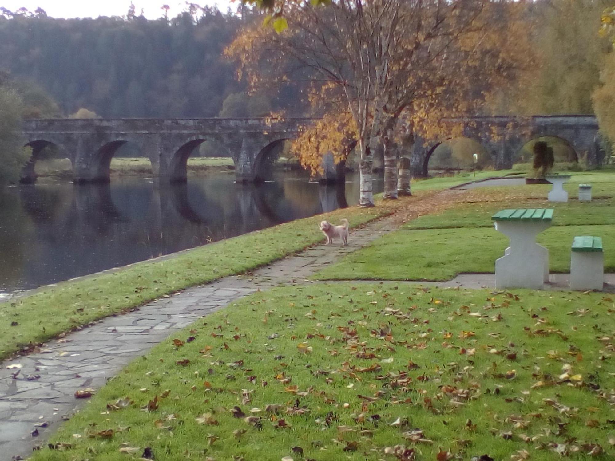 Woodstock Arms Bed & Breakfast Inistioge Luaran gambar